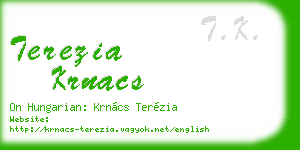 terezia krnacs business card
